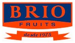 BRIO FRUITS