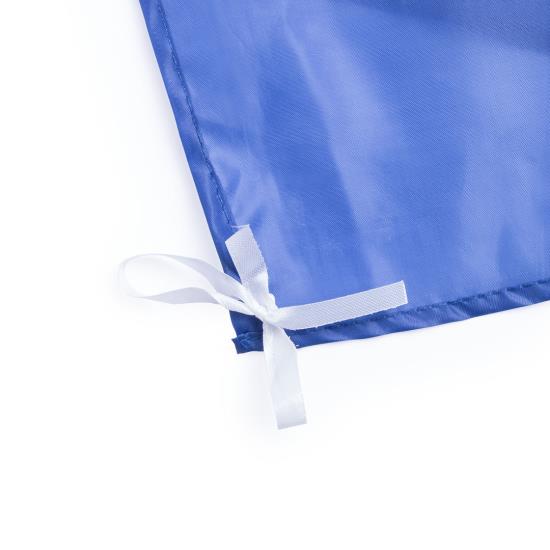 Bandera Arecibo azul claro