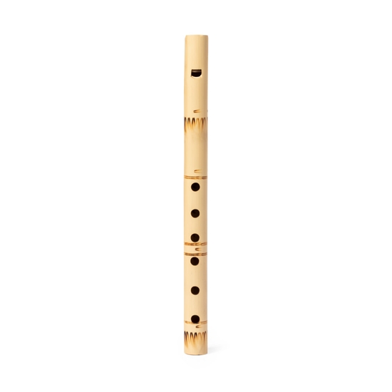 Flauta Budia