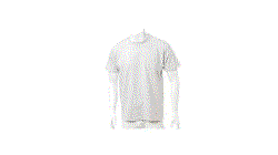 Camiseta Adulto Color Genola gris talla S