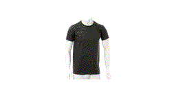 Camiseta Adulto Color Birchwood negro talla L